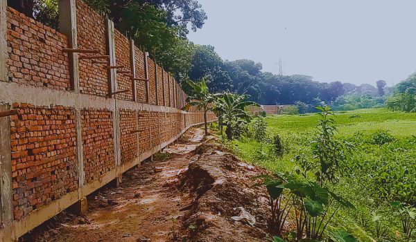 যশোরের ভৈরবের তীর আঞ্চলিক কৃষি গবেষণা কেন্দ্রের পেটে! Imeges10000 12